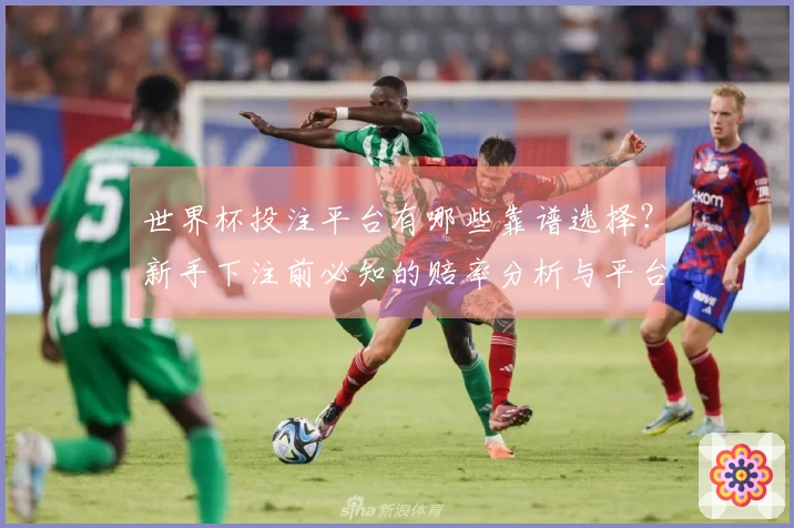 世界杯投注平台有哪些靠谱选择？新手下注前必知的赔率分析与平台评测