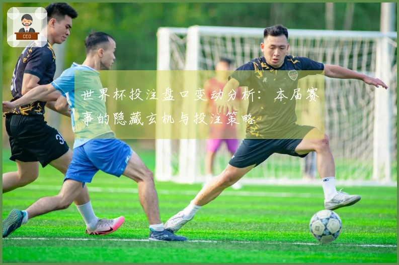 世界杯投注盘口变动分析：本届赛事的隐藏玄机与投注策略