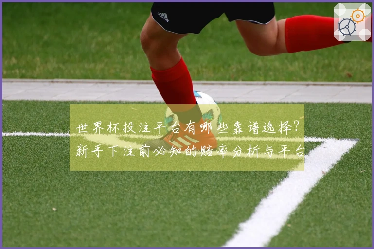 世界杯投注平台有哪些靠谱选择？新手下注前必知的赔率分析与平台评测