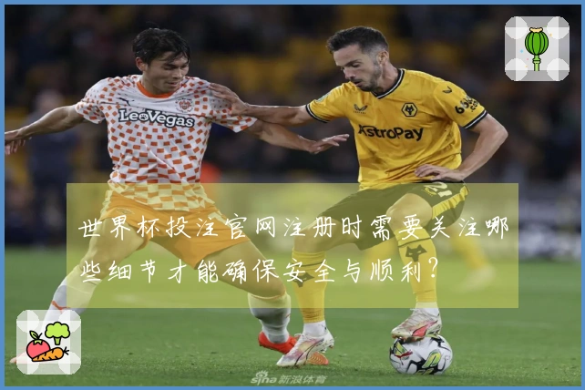 世界杯投注官网注册时需要关注哪些细节才能确保安全与顺利？